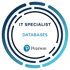 IT Specialist Databases Badge